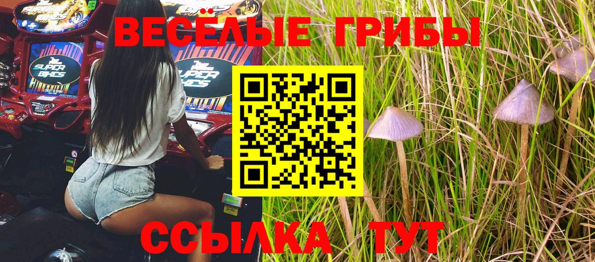 Галлюциногенные грибы мухоморы  Вход с VPN  Псилоцибиновые грибы ЛСД  Учалы 